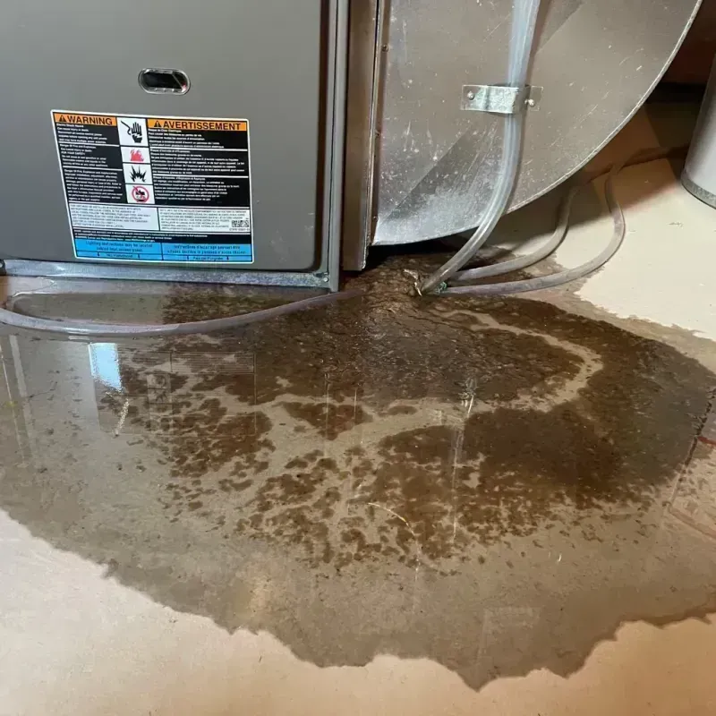 Appliance Leak Cleanup in Andalusia, IL